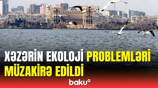 Xəzərin ekoloji problemləri ilə bağlı mühüm müzakirə