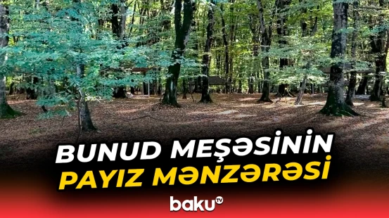 Qəbələdən təbiət mənzərəsi | Bunud meşəsindən görüntülər