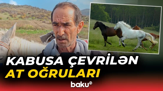 Kəndlərdə sakinlərin at və xırdabuynuzlu heyvanlarına qənim kəsildilər