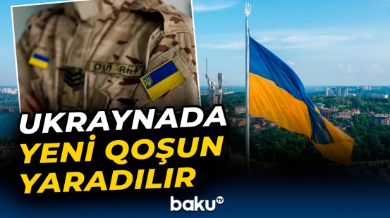 Kiberhücum Qüvvələrinin işi nədən ibarət olacaq?