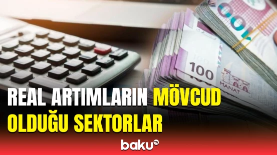 Millət vəkili iqtisadi artımla bağlı nələri açıqladı?