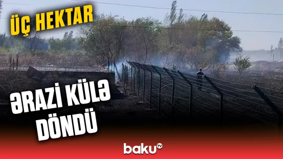 Xaçmazda üç hektar ərazidə ağaclar və kol-kos yanıb