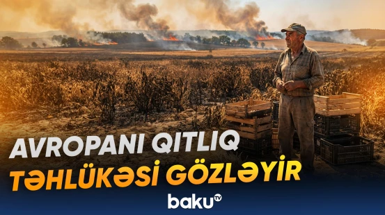 Artan istilər və yanğınlar ərzaq çatışmazlığı riskini daha da gücləndirir