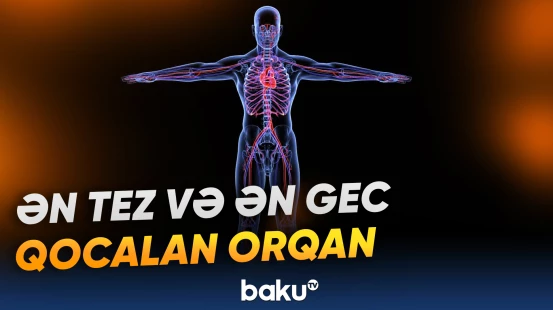 “Yaşlanmanın qarşısını alan universal dərman yoxdur” | Həkim