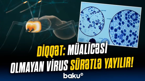 Yeni pandemiya təhlükəsi yarandı? - Virus barədə xəbərdarlıq