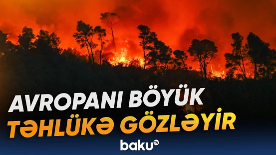 Meşə yanğınları üç dəfəyədək arta bilər