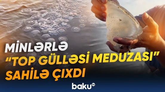 Meksika sahilində qeyri-adi hadisə yaşandı