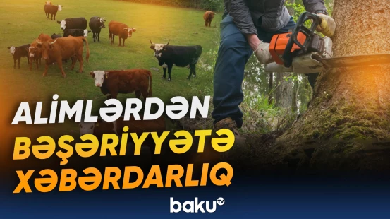 “Planetin ağciyərləri” quru savannaya çevrilməyə başlaya bilər