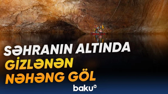 Burada yaşayan canlılara dünyanın başqa heç yerində rast gəlinmir