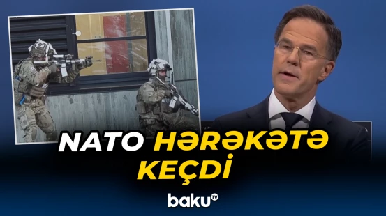 Alyans Arktikanın təhlükəsizliyi üçün missiyaya başlayır