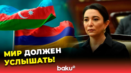 Омбудсмен АР призвала мир активизировать усилия для выяснения судеб пропавших азербайджанцев