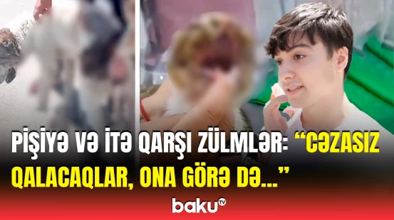 Heyvanlara qarşı zalımlıq edən insanlar | Tükürpərdən görüntülər yayıldı