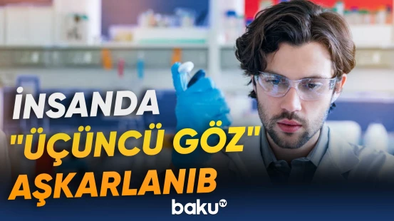 Böyük Britaniya və İsveçdən olan ekspertlərdən mühüm təşəbbüs