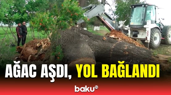 Külək Goranboyda təhlükəli anlara səbəb oldu