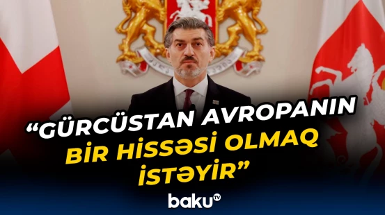 Kavelaşvilidən ölkəsinin gələcəyi ilə bağlı açıqlamalar