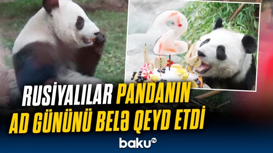 "Katyuşa" doğum günü tortunu görün necə yedi | Moskvada maraqlı anlar yaşandı