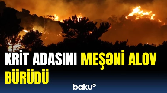 Yunanıstan meşələrində baş verən yanğından anbaan görüntülər