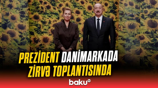 Prezident Danimarkada Zirvə toplantısında