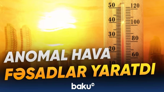 İstilər Macarıstanda AES-i iflic etdi, İspaniyada isə can aldı