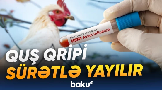 Avstraliyada bu virusa görə ilk kütləvi ölüm qeydə alındı