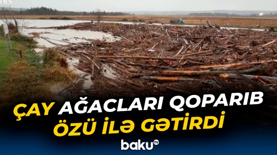 ABŞ-də sel fəlakətinin dəhşətli nəticəsi