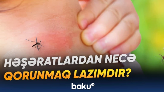 Ağcaqanadların çoxalmasını sürətləndirən amillər