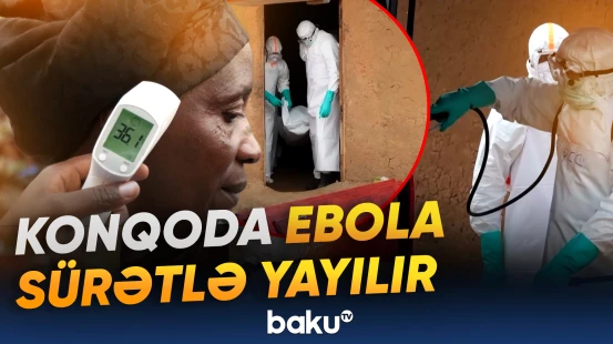 Yoluxanların yarıdan çoxu ölüb