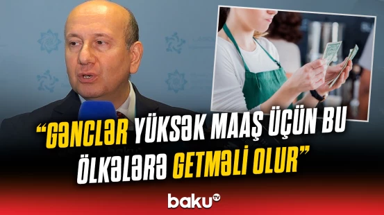 Türkiyəli nazir müavini islam dünyasının əmək bazarından danışdı