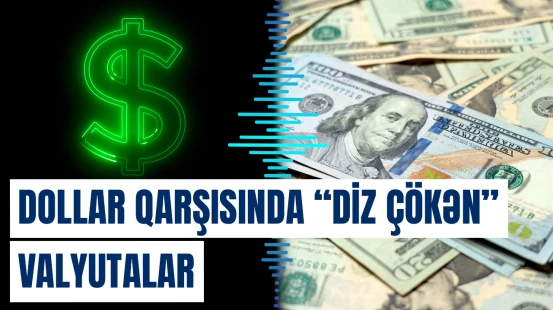 Qlobal maliyyə bazarında dollara qarşı gücünü itirən valyutalar görün hansılar oldu