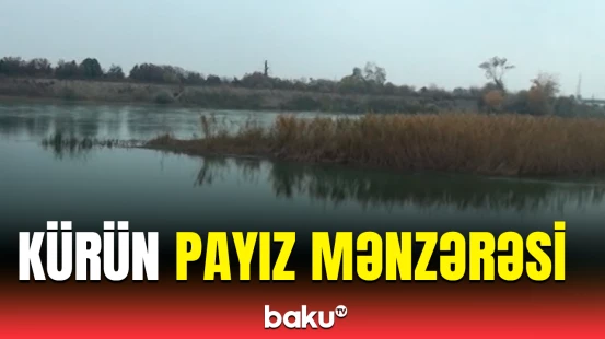 Kür çayının heyrətamiz təbiəti | Ən yeni görüntülər