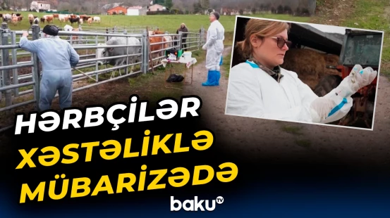 Fransada hərbçilər xəstəliklə mübarizə tədbirlərinə qoşuldular