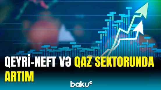 İqtisadiyyat nazirinin müavini ixrac potensialının yüksəldilməsindən danışdı