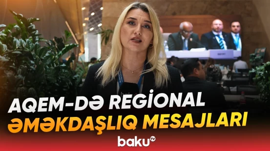 Bakı sammitində təhlükəsizlik və iqtisadi bağlantılar müzakirə olundu - Baku TV