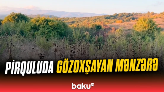 Şamaxının Pirqulu qəsəbəsindən təbiət mənzərəsi