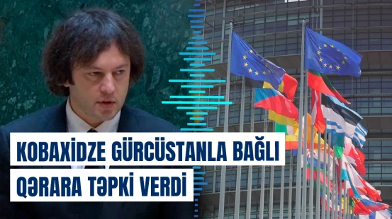 Kobaxidze Gürcüstanla bağlı qərara təpki verdi