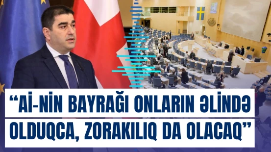 Gürcüstanda zorakılıq Avropanın adı ilə həyata keçirilir | Şalva Papuaşvili