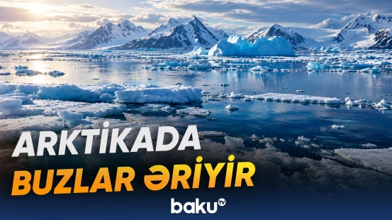 Şimal Buzlu okean bu əsrdə buzsuz qala bilər