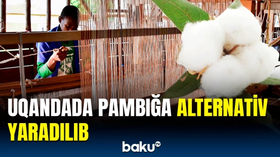 Uqandalı alimlərdən inqilabi addım