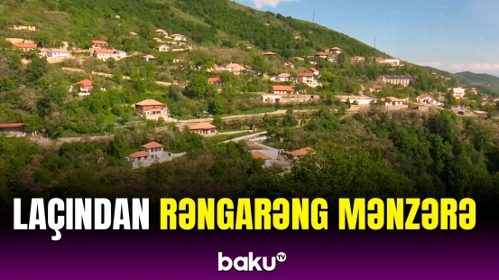 Laçından gözoxşayan təbiət mənzərəsi