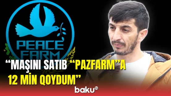 Onlayn tərəvəz əkib pul qazanacaqdılar, "Pazfarm"ın qurbanı oldular