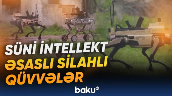 Cənubi Koreya Ordusu robotlaşdırılacaq
