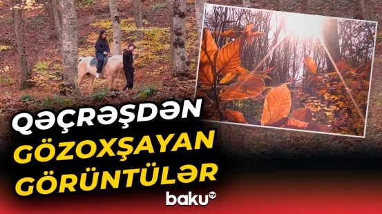 Qubanın Qəçrəş meşəsinin payız mənzərəsi