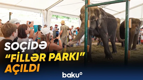 Soçidə açılan "Fillər parkı" ziyarətçilərin böyük marağına səbəb olub