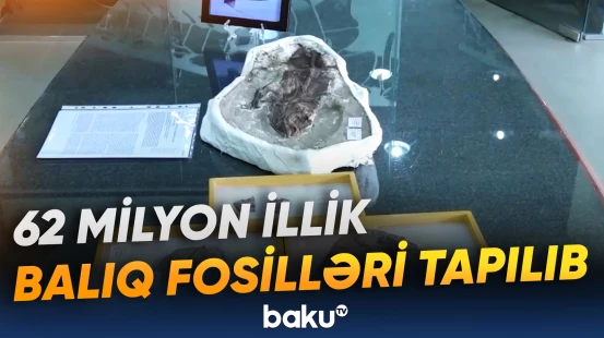 Yerdə həyatın necə bərpa olunduğunu araşdırmaq asanlaşacaq