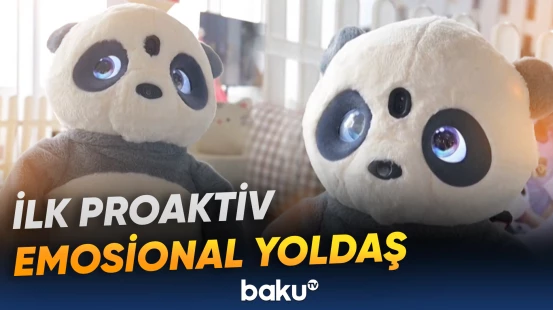 “Panda Robot” ictimaiyyətə təqdim edilib
