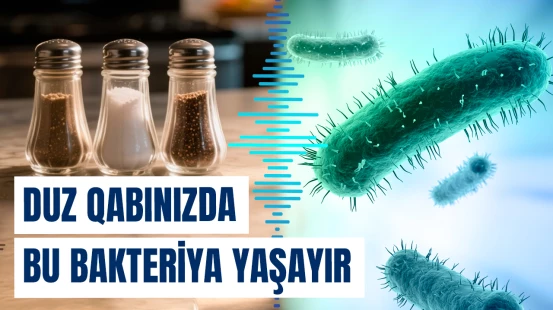 Alimlər bu bakteriyalarla bağlı xəbərdarlıq etdi