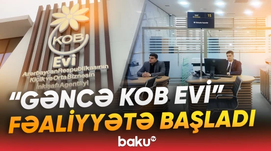 Sahibkarlara 15 dövlət qurumu tərəfindən xidmət göstəriləcək