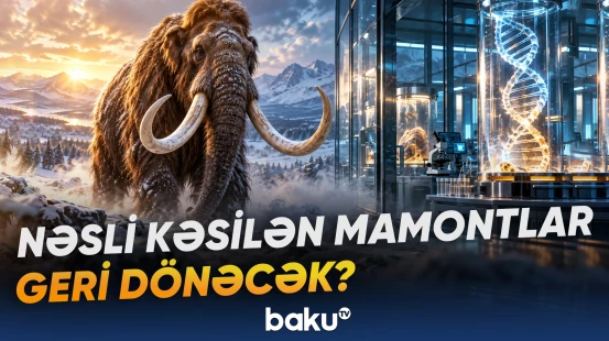 Alimlər mamontların ilk doğuşunu 2030-cu illərin əvvəlinə planlaşdırırlar