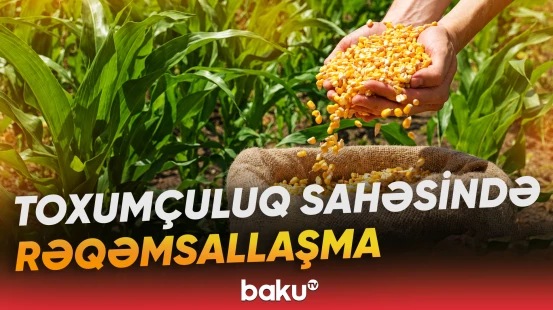İlhamə Qədimova: “Bu sahədə doğru qeydiyyatın sistem vasitəsilə izlənməsi hədəflənir”