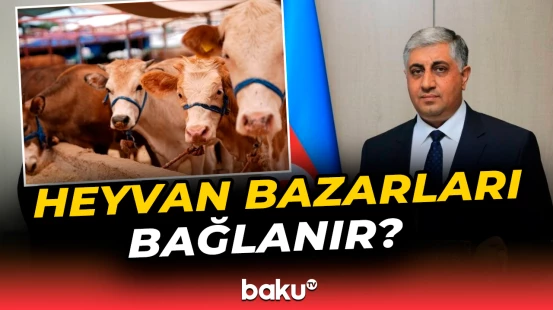 Xəstəliklərlə bağlı həyəcan təbili | “Bu heyvanlar kəsimdən kənarlaşdırılır”